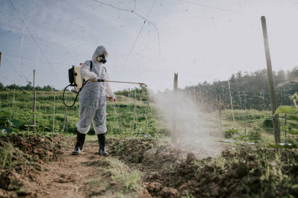 Best Mosquito Control Services  in Fort Dodge, IA