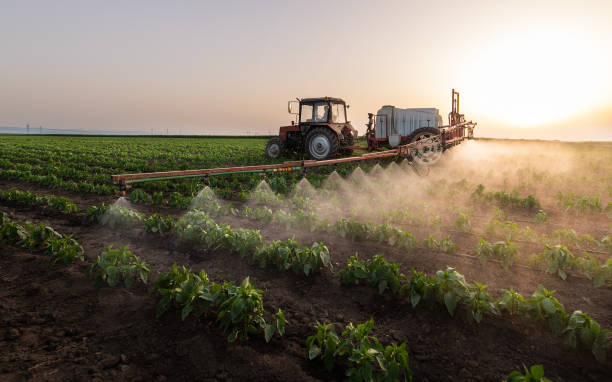 Best Pest Prevention Services  in Fort Dodge, IA
