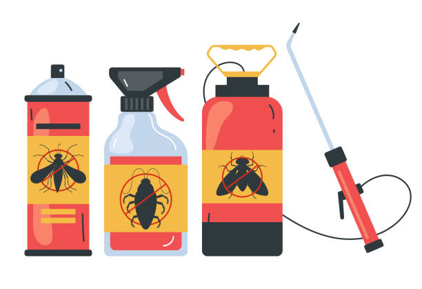 Best Termite Control Services  in Fort Dodge, IA