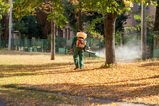 Best Residential Pest Control  in Fort Dodge, IA
