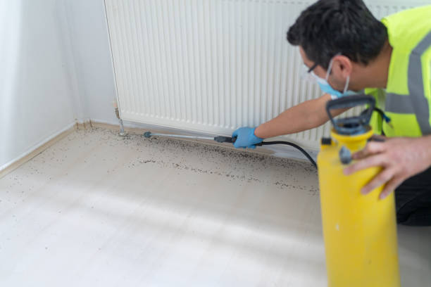 Best Affordable Pest Control Services  in Fort Dodge, IA