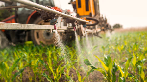 Wildlife Control Services in Fort Dodge, IA